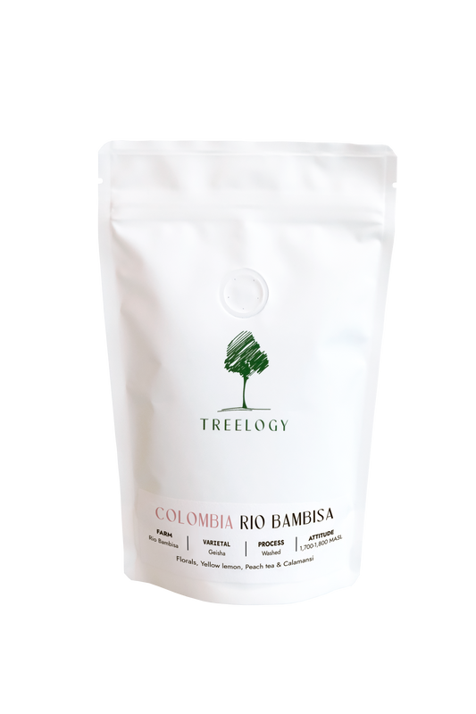 Colombia Geisha (Rio Bamisa)